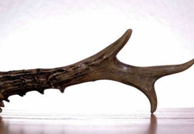 Ученые обнаружили необычные амулеты из человеческих костей (фото)