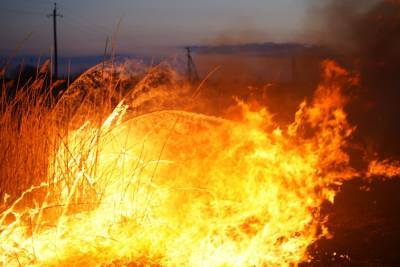 Пламя чуть не поглотило поселок: Гайдай рассказал о ситуации с пожарами на Луганщине