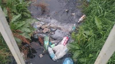 «Трупы животных, мусор и грязь»: река Урал в Челябинской области превращается в сточную канаву