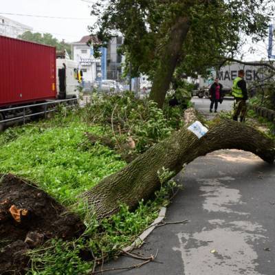 В Приморье устраняют последствия тайфуна «Майсак»