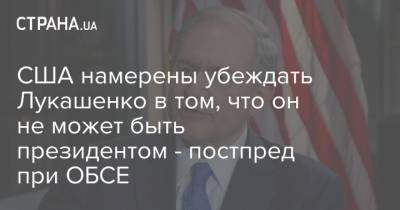 США намерены убеждать Лукашенко в том, что он не может быть президентом - постпред при ОБСЕ