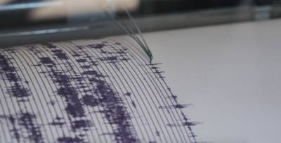 На западе Грузии произошло землетрясение