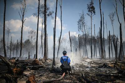 Площадь лесных пожаров в Ростовской области увеличилась