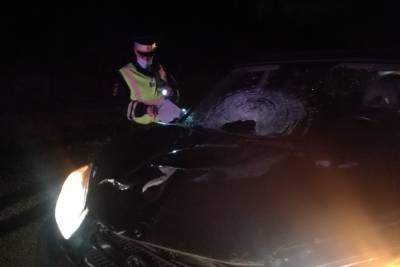 На свердловской дороге Тойота насмерть сбила 60-летнего грибника