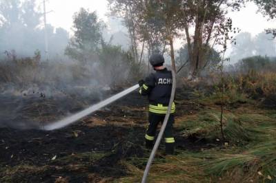 В Харьковской и луганской областях разработают дополнительные меры, чтобы ликвидировать пожары