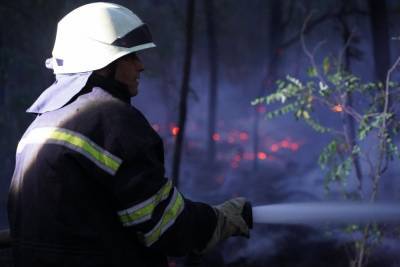 На Луганщине продолжается тушение трех очагов пожаров: оперативная информация