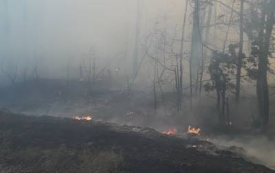 Харьковской и Луганской ОГА поручили принять противопожарные меры