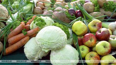 Производство сельхозпродукции в Витебской области за январь-август выросло почти на 5%