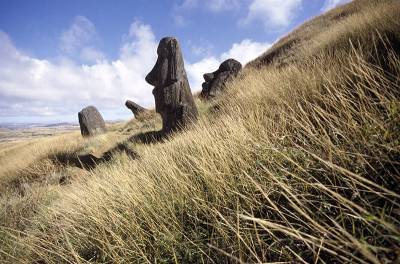 Ученые нашли причину гибели цивилизации острова Пасхи