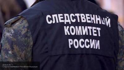 Следователи планируют возбудить дело по факту госпитализации Навального