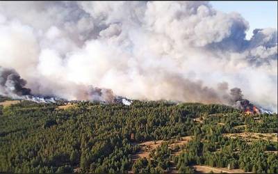 Площадь ландшафтного пожара в Тарасовском районе увеличилась до 1200 гектаров