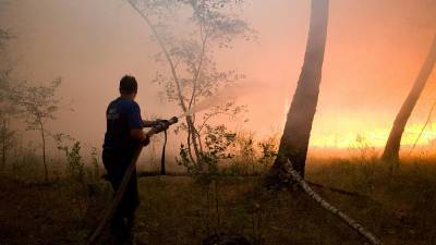 Более тысячи га леса горят в Ростовской области