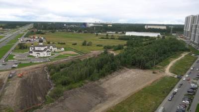 Власти объяснили вырубку леса под парковку на Парашютной улице в Петербурге