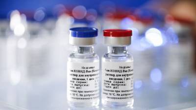 Мексика примет участие в испытании российской вакцины от COVID-19