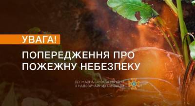 В Украине объявлено чрезвычайное положение пожарной опасности
