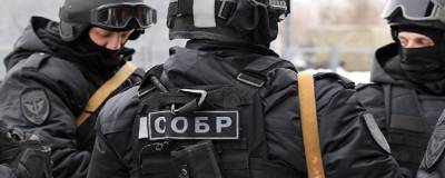 ФСБ задержала 13 человек, готовивших массовые убийства в учебных заведениях