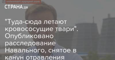 "Туда-сюда летают кровососущие твари". Опубликовано расследование Навального, снятое в канун отравления