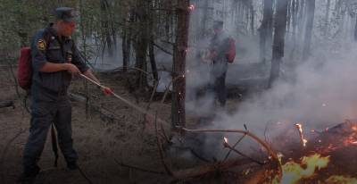 МЧС: в Тарасовском районе локализовали горение на трех участках