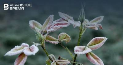 В Татарстане предупредили о заморозках на почве и в воздухе до минус двух градусов