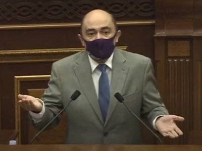 «Светлая Армения» выступает против законодательной инициативы о возможности введения карантина