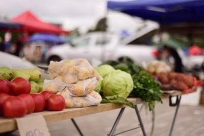 Краснодарцы смогут покупать фрукты, ягоды и мед на месте снесенного рынка по выходным