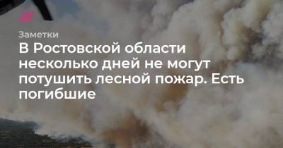 В Ростовской области несколько дней не могут потушить лесной пожар. Есть погибшие