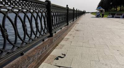Ползла к людям по плитке: ярославцы сообщают о змеях на набережной