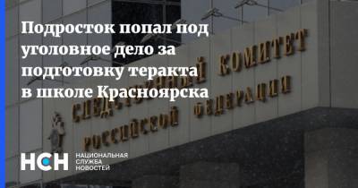 Подросток попал под уголовное дело за подготовку теракта в школе Красноярска