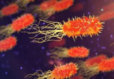 Ученые обнаружили, что микробы способны выживать в космических условиях