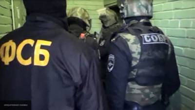 Видео задержания готовивших массовые убийства россиян опубликовали в Сети