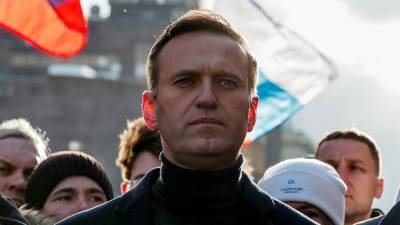 Вена оценила возможность введения санкций против России из-за Навального