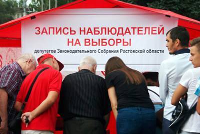 Представлен «золотой стандарт» наблюдения на выборах в России