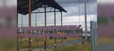 Свинокомплекс "Кондопожский" в Карелии, против которого выступают местные жители, продан на торгах за 72 млн рублей
