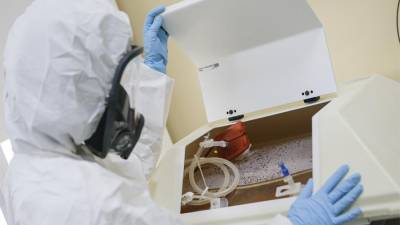 В РФПИ сообщили о подготовке к испытаниям вакцины «Спутник V» за рубежом