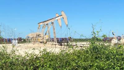Новак сделал прогноз по сокращению мирового спроса на нефть