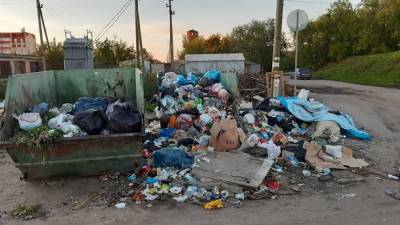 Жители поселка в Челябинской области пожаловались Текслеру на проблемы с вывозом мусора