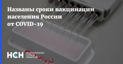Названы сроки вакцинации населения России от COVID-19