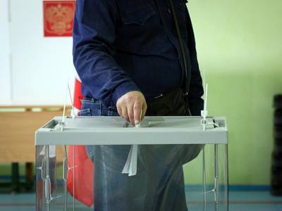 Более 4 тыс. человек зарегистрировались на онлайн-голосование на довыборах