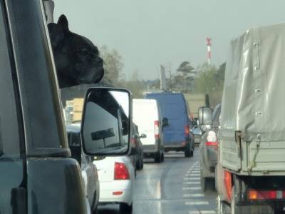 «На дорогах будет плотно»: москвичей предупредили о пятничных пробках