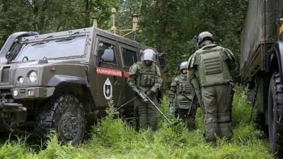 Саперы обезвредили сотни снарядов времен ВОВ в Ленинградской области
