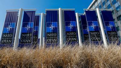 НАТО потребовало от России раскрыть программу изготовления «Новичка»