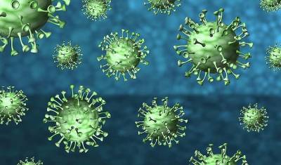 Минпромторг оценил влияние эпидемии коронавируса на импортозамещение