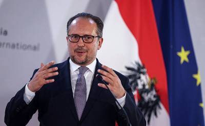 Министр иностранных дел Австрии: любые меры возможны (Frankfurter Allgemeine Zeitung, Германия)