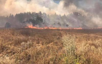 В Харьковской области потушен один из лесных пожаров