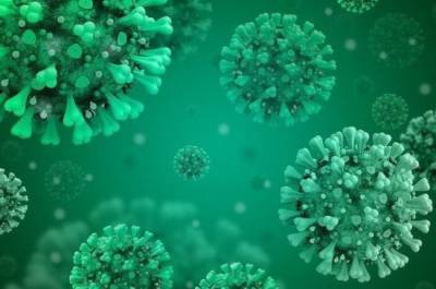 Эксперт: пандемия коронавируса положительно сказалась на развитии импортозамещения