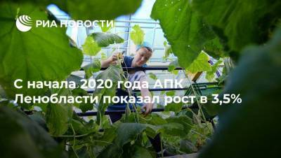 С начала 2020 года АПК Ленобласти показал рост в 3,5%