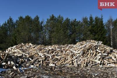 Администрация Сыктывкара изменит регламент по предоставлению субсидии на дрова