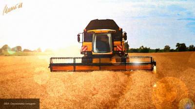 Bloomberg: новые рынки сбыта зерна дадут России титул "пшеничного короля"