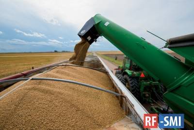 Египет закупил рекордные объемы российского зерна