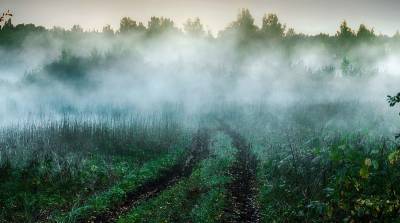 Смоленскую область накроют туман и дожди